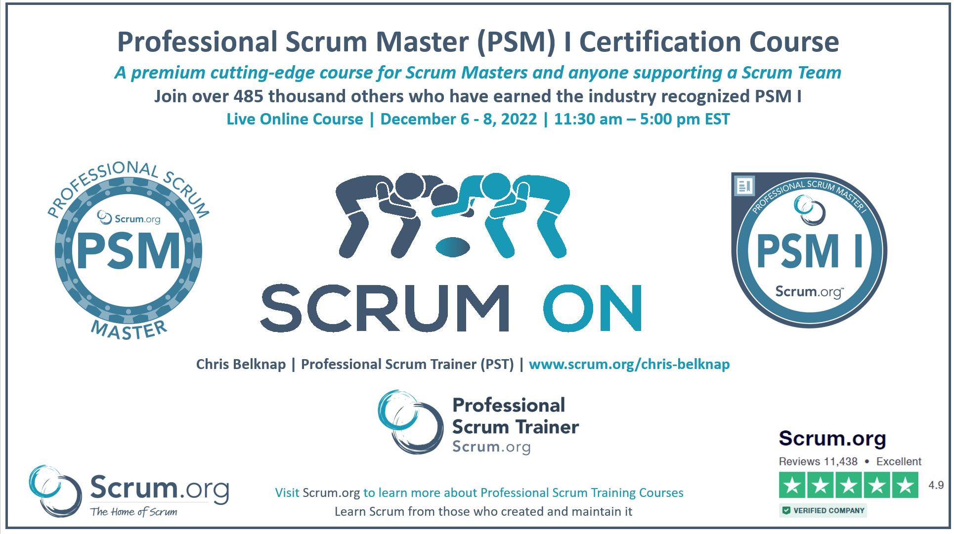 Professional Scrum Master